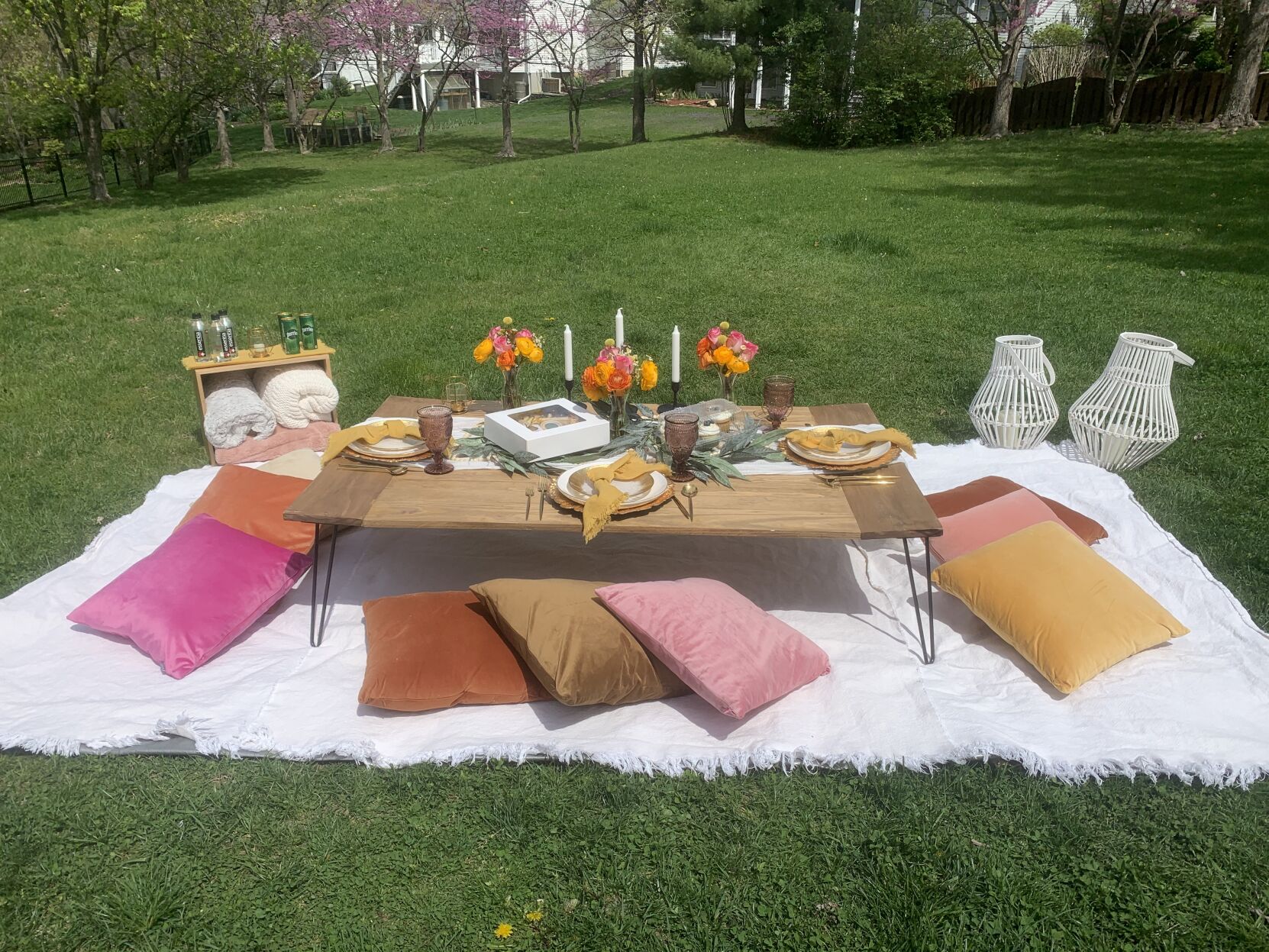 Alpaca Picnic